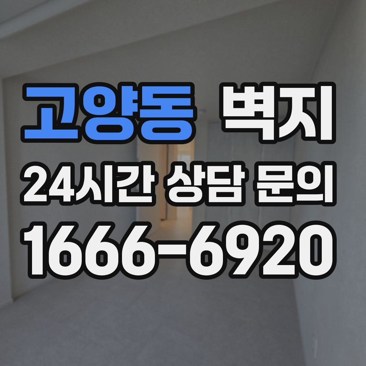고양동 벽지