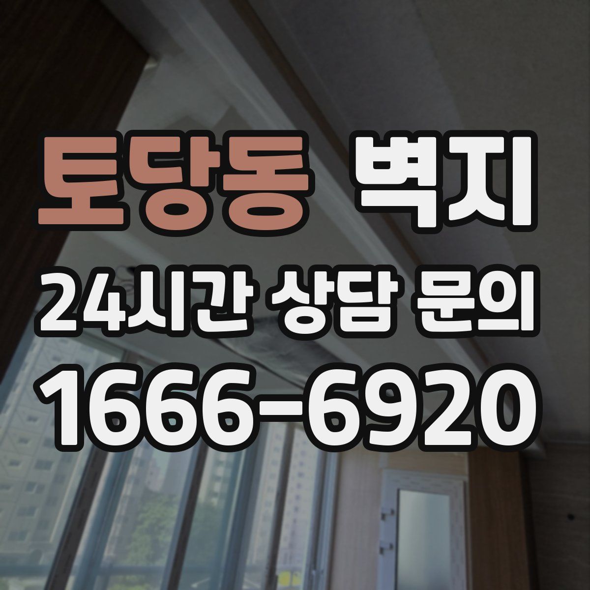 토당동 벽지