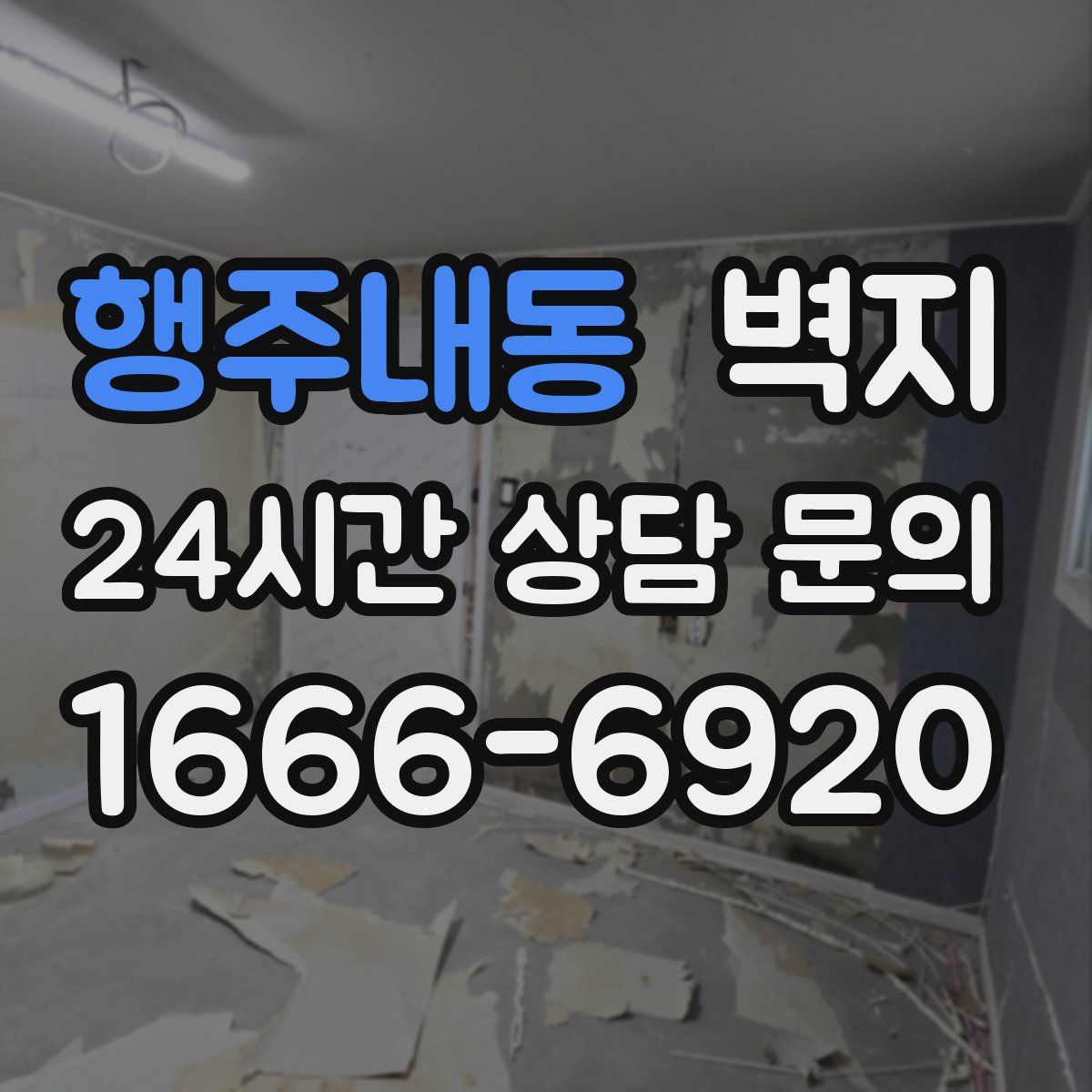 행주내동 벽지