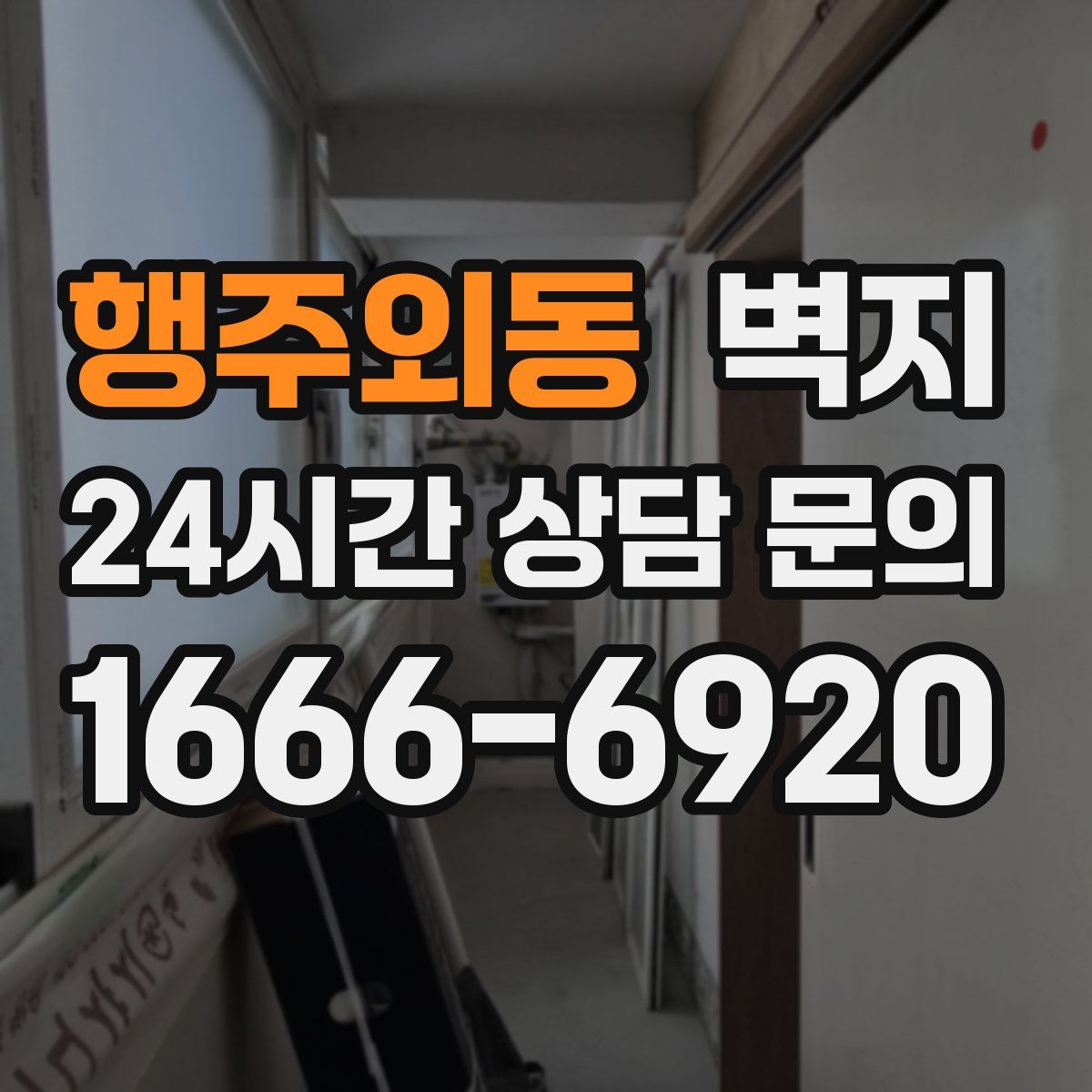 행주외동 벽지