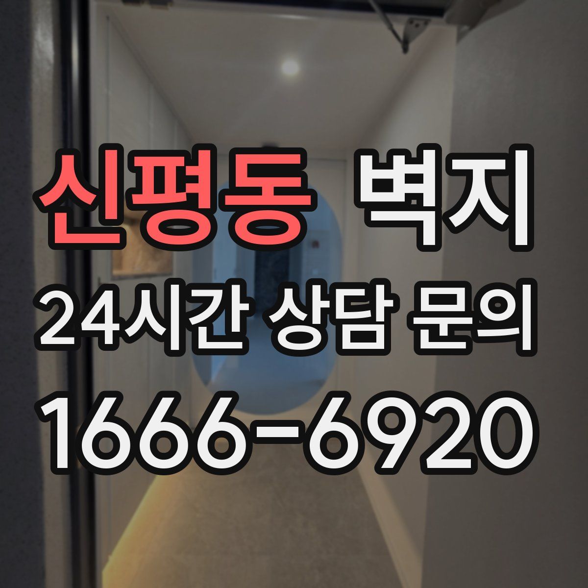 신평동 벽지