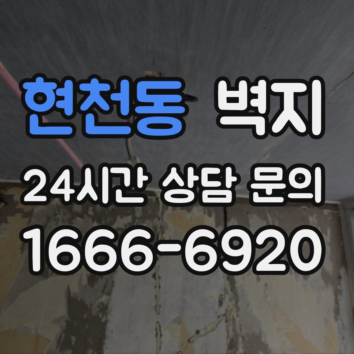 현천동 벽지