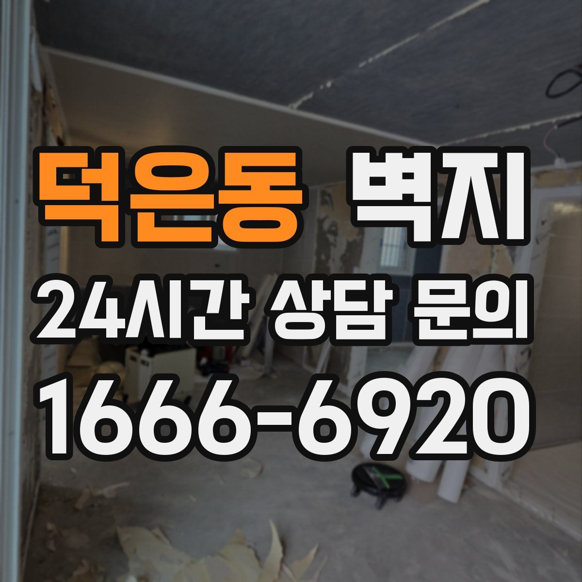 덕은동 벽지