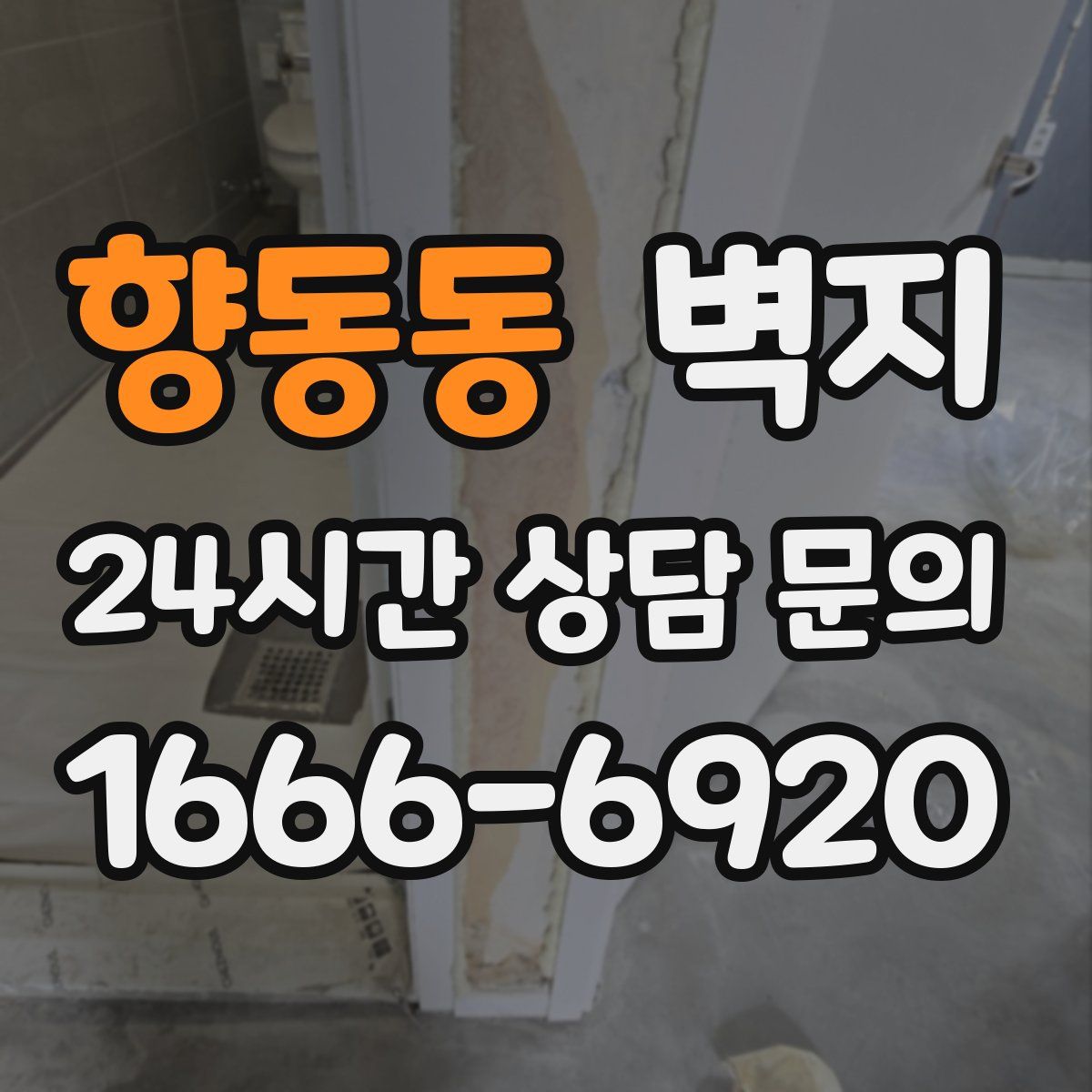 향동동 벽지