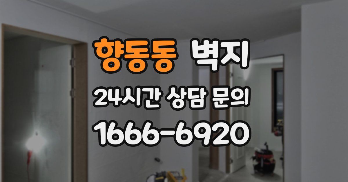향동동 벽지