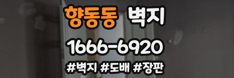향동동 벽지