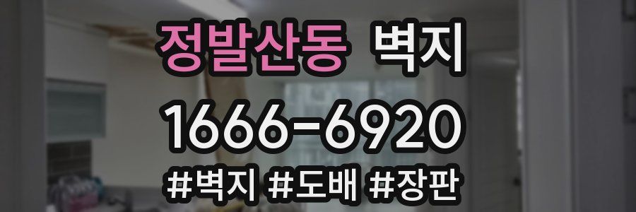 정발산동 벽지