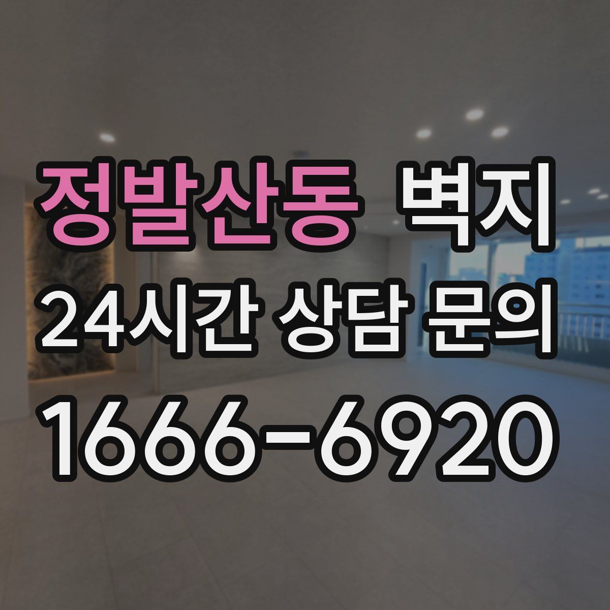 정발산동 벽지