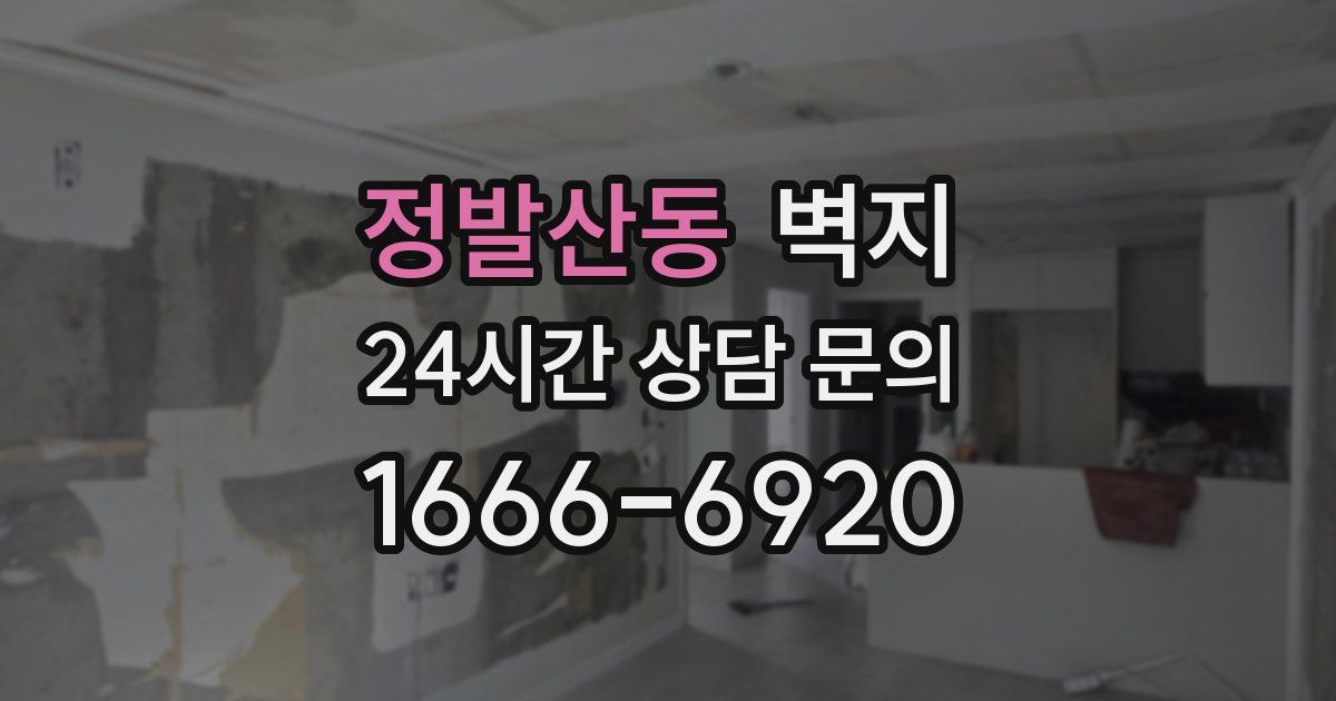 정발산동 벽지