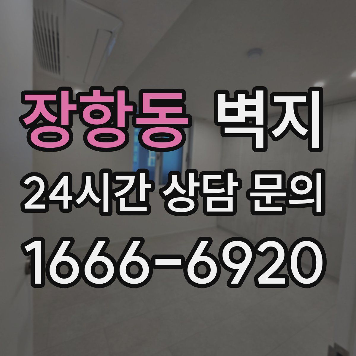 장항동 벽지