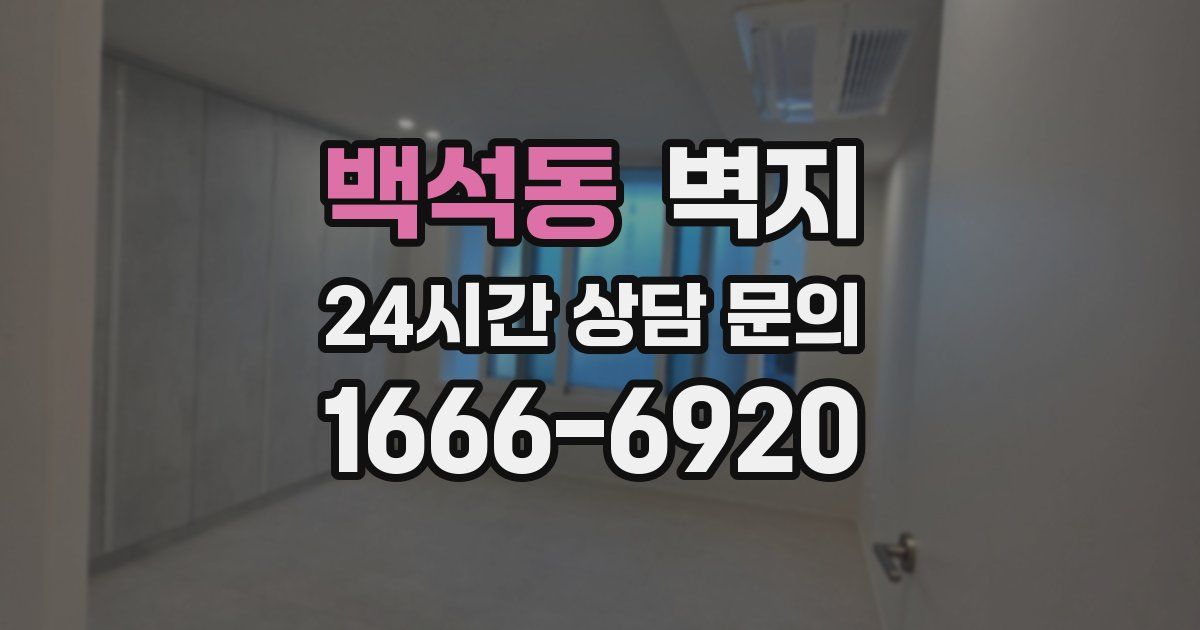 백석동 벽지