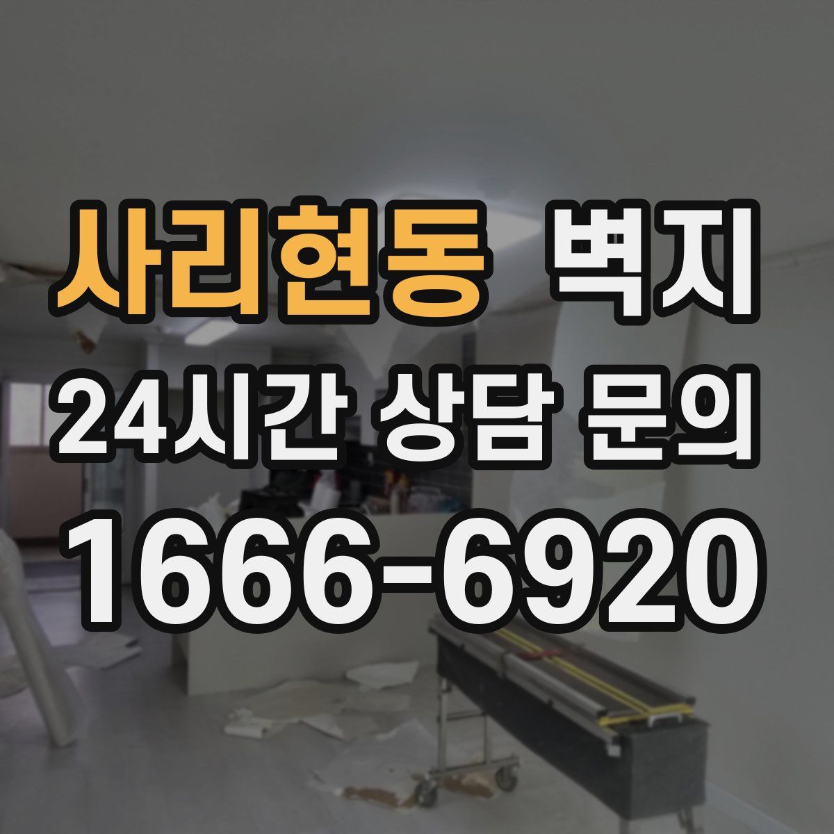 사리현동 벽지