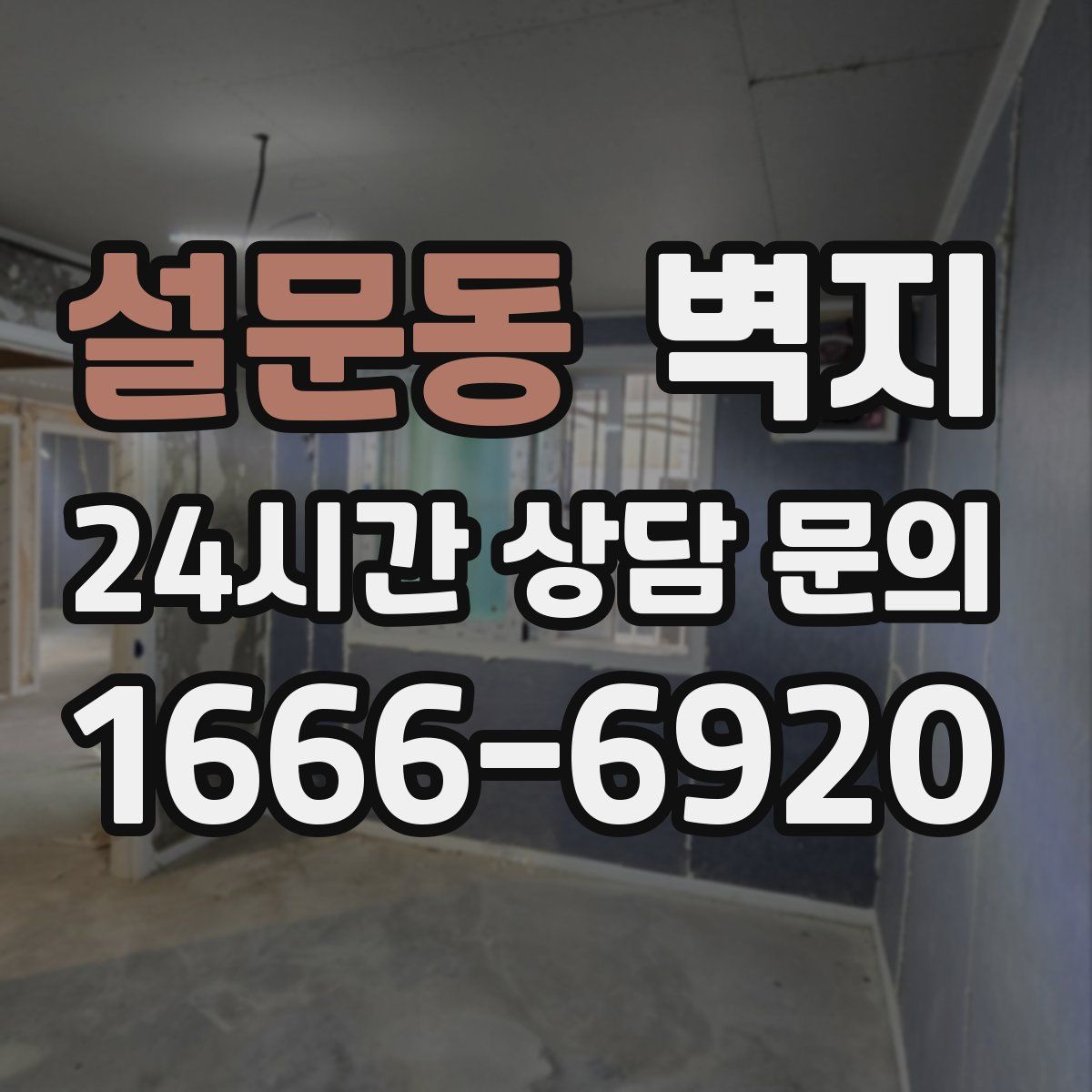 설문동 벽지