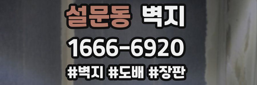 설문동 벽지