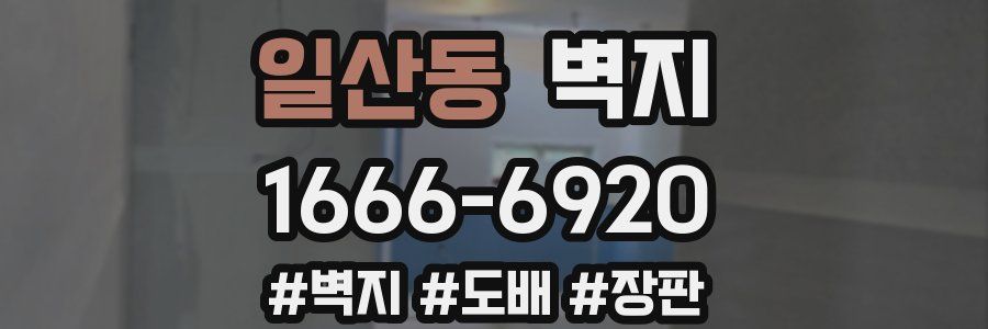 일산동 벽지