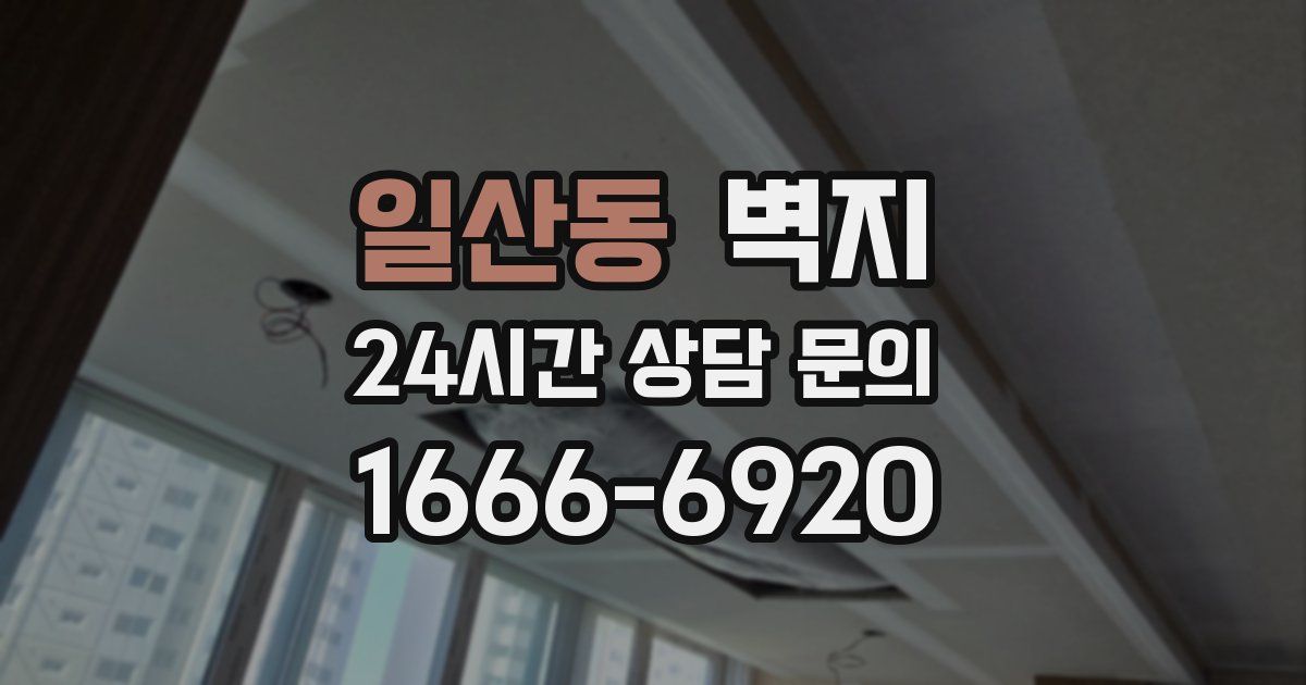 일산동 벽지