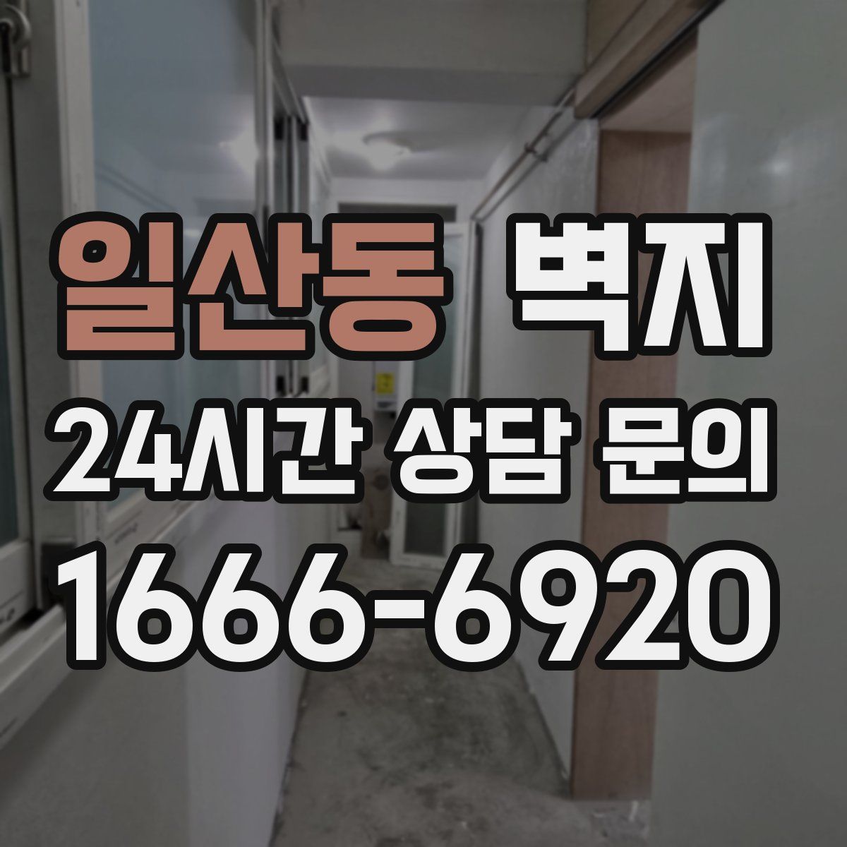 일산동 벽지