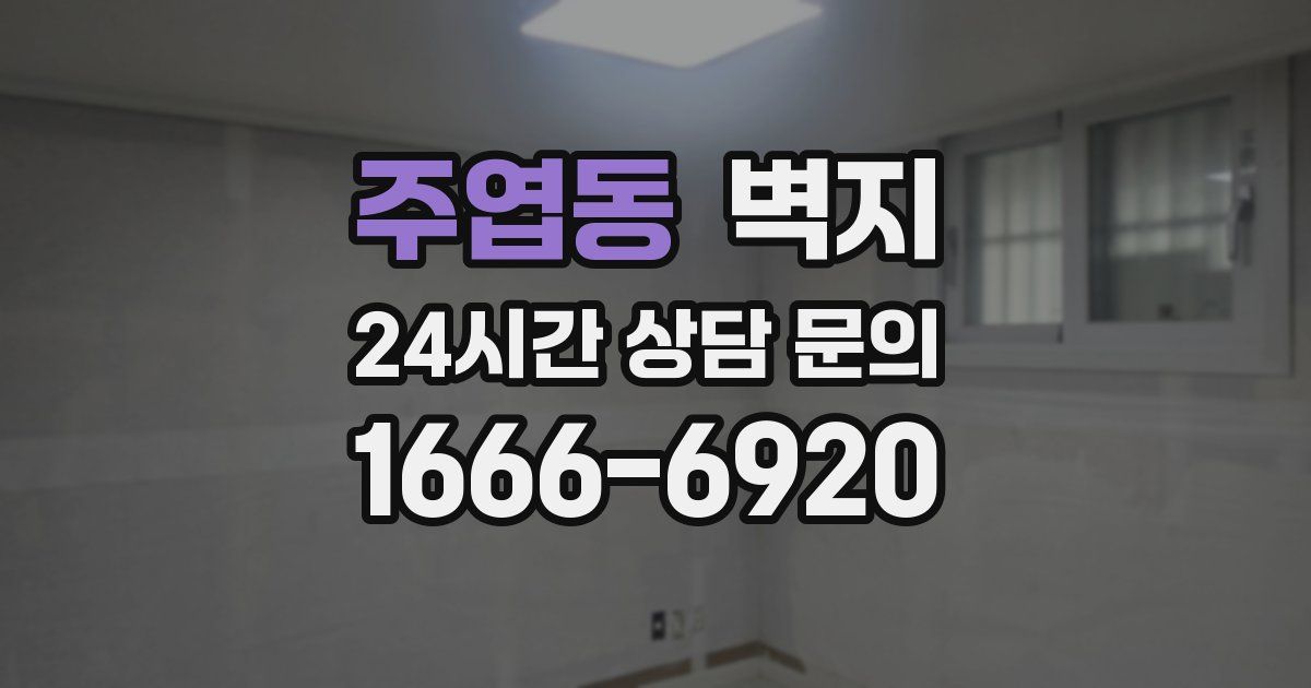 주엽동 벽지