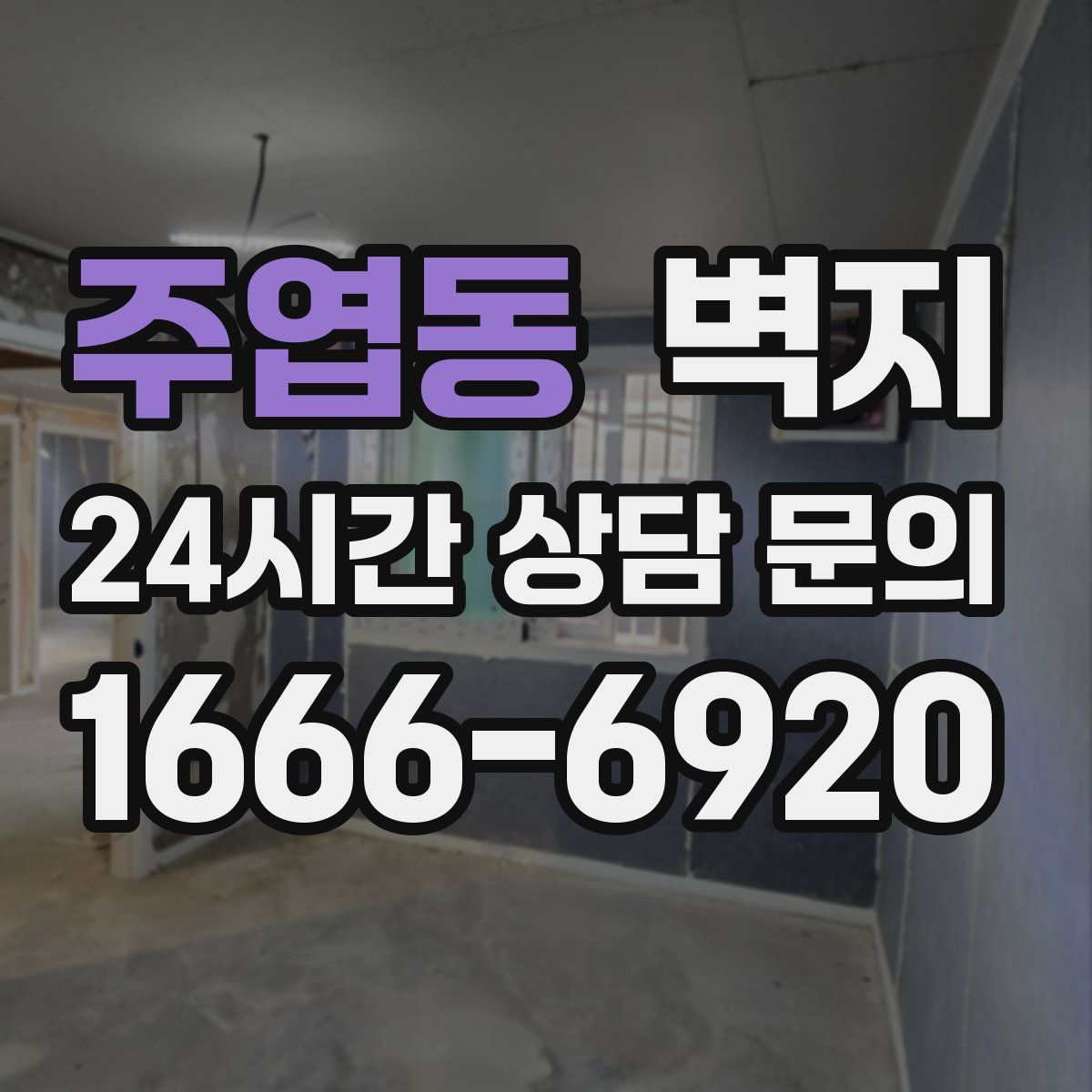 주엽동 벽지