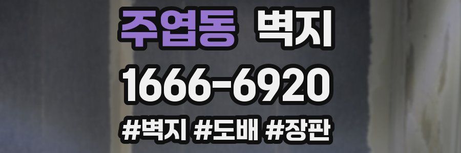 주엽동 벽지
