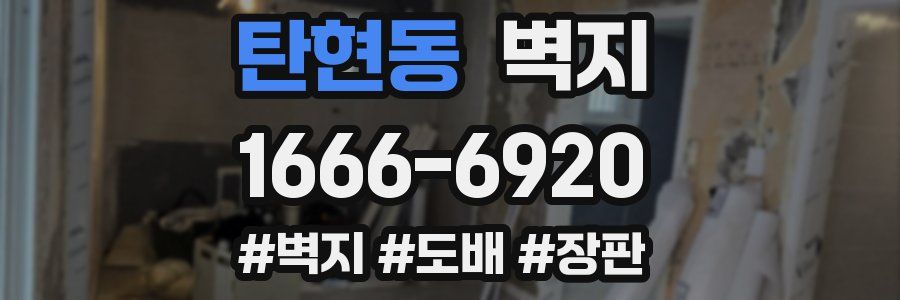 탄현동 벽지