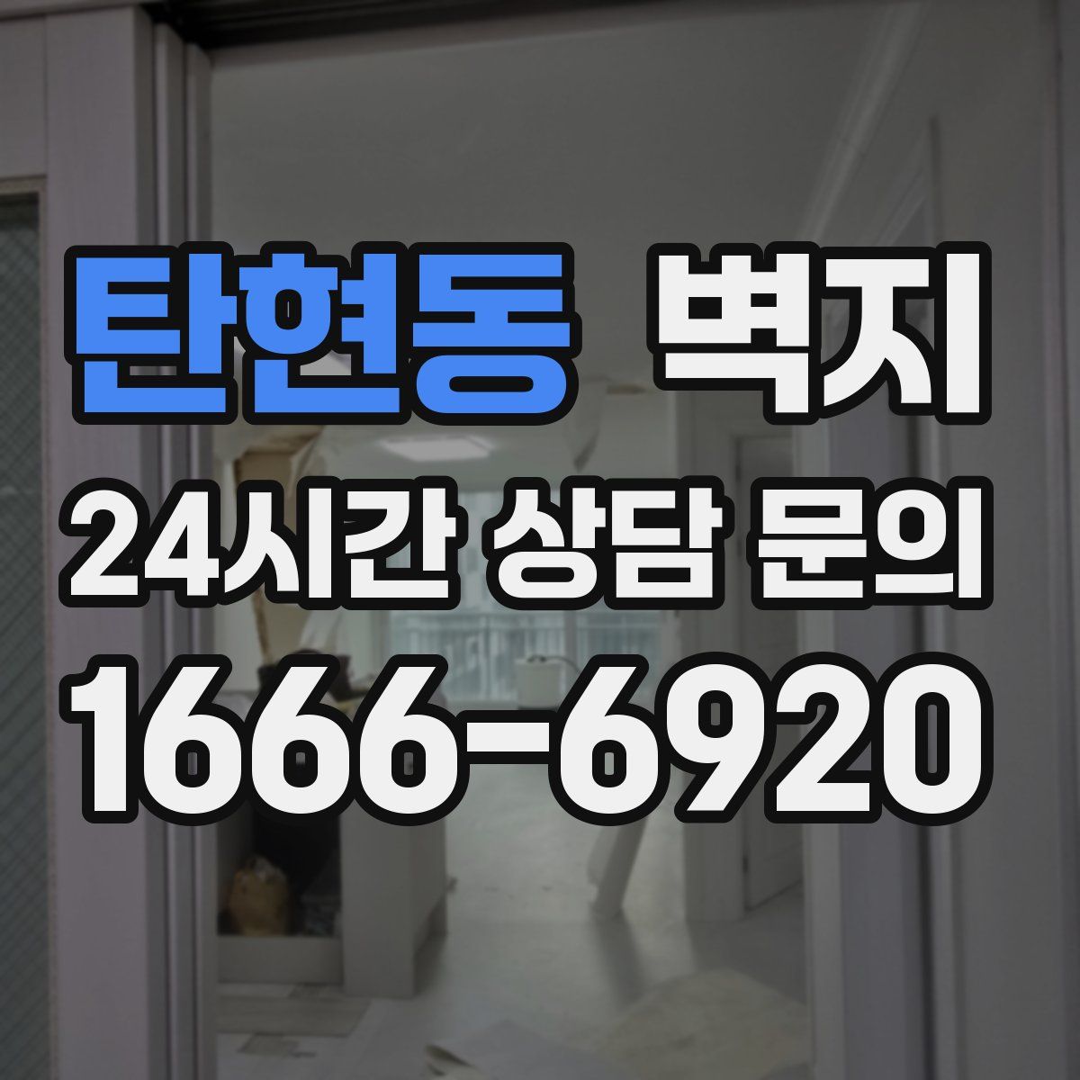 탄현동 벽지