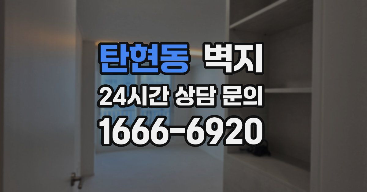 탄현동 벽지