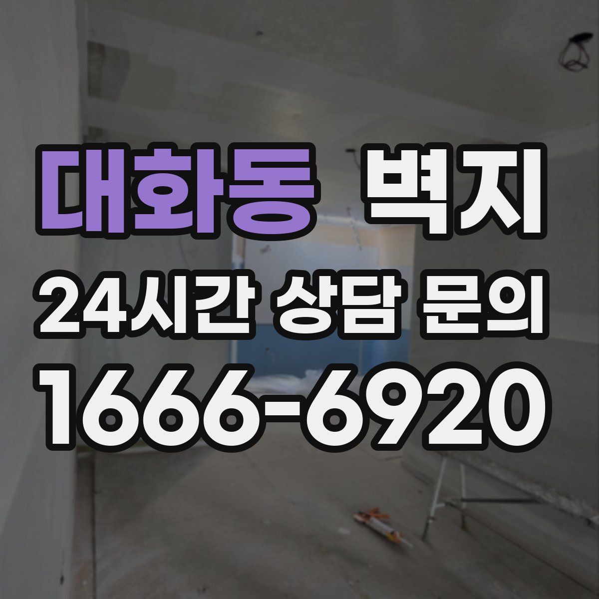 대화동 벽지