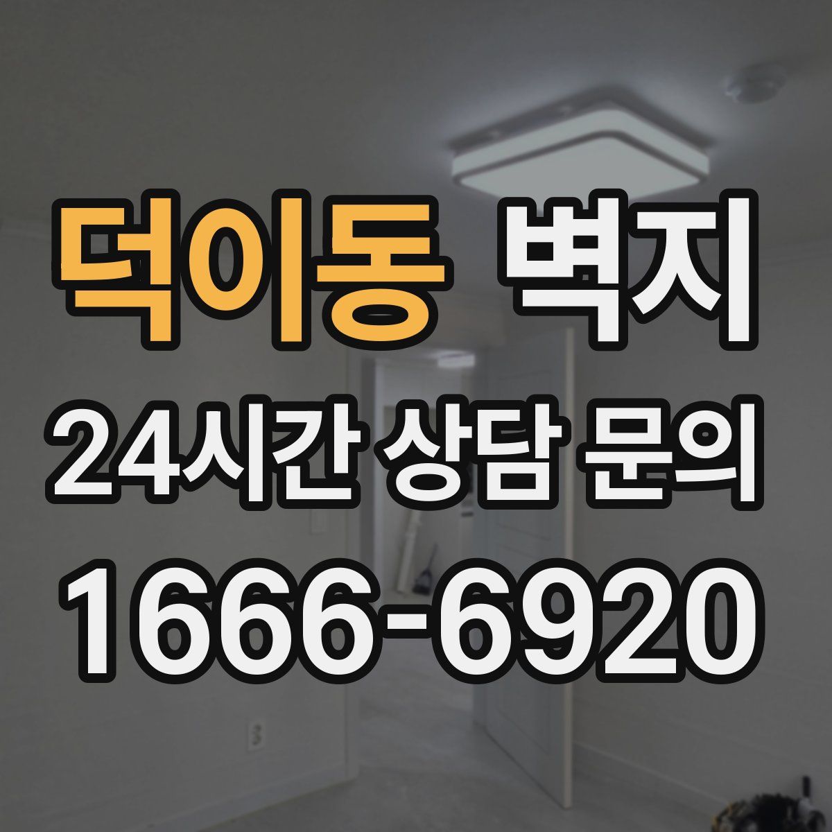 덕이동 벽지