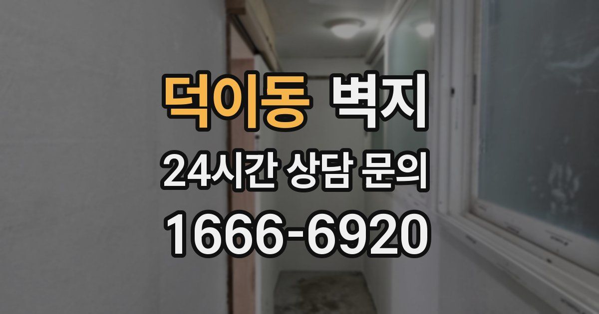 덕이동 벽지