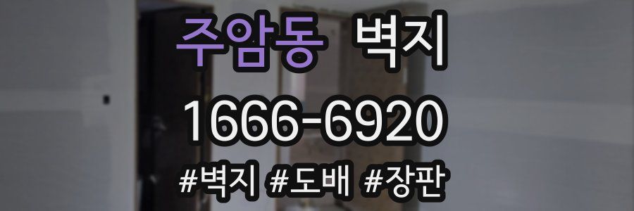 주암동 벽지