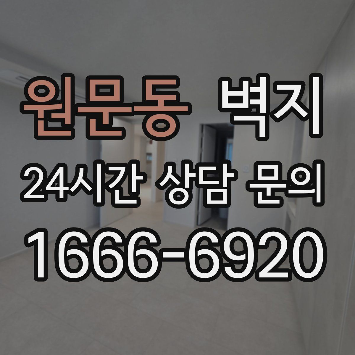 원문동 벽지