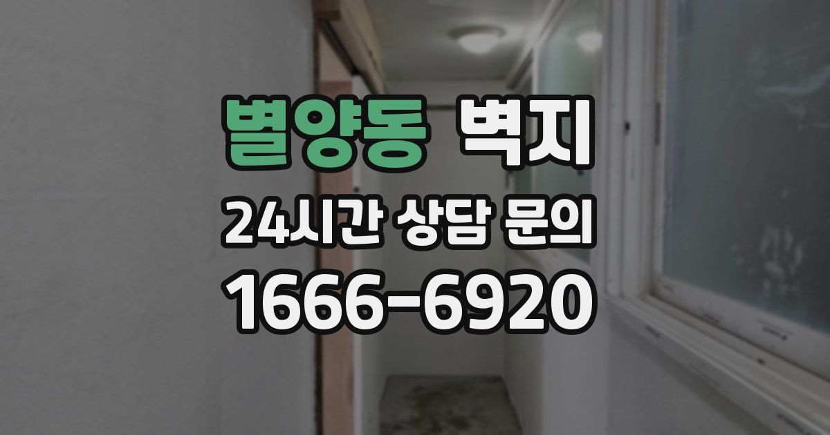 별양동 벽지