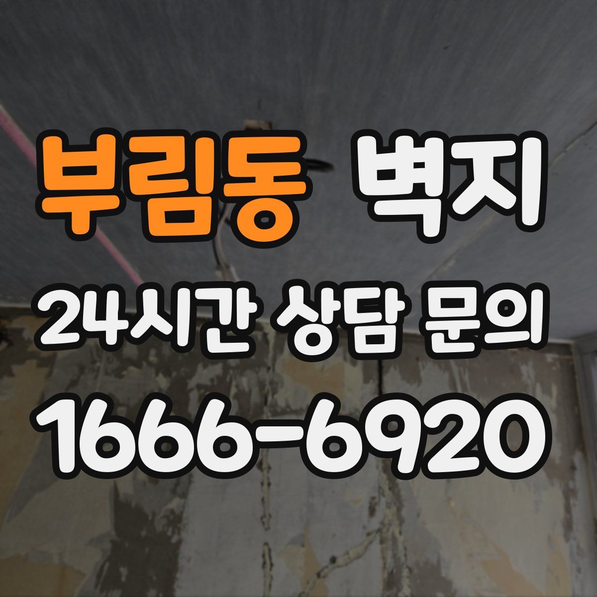 부림동 벽지