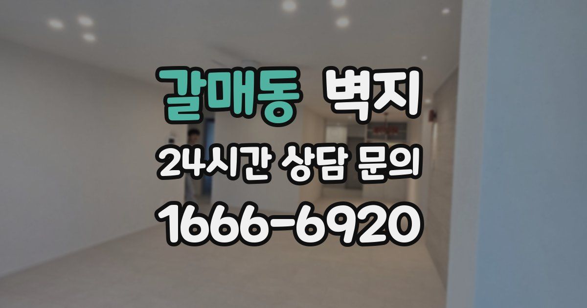 갈매동 벽지