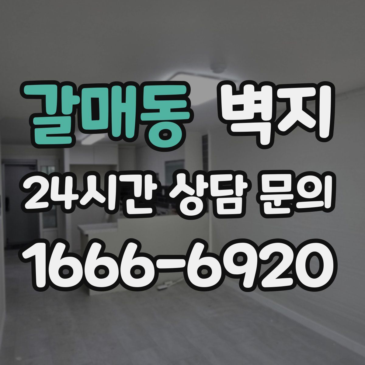 갈매동 벽지