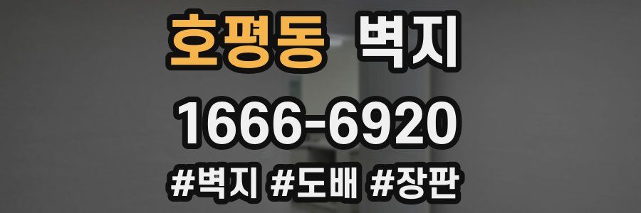 호평동 벽지