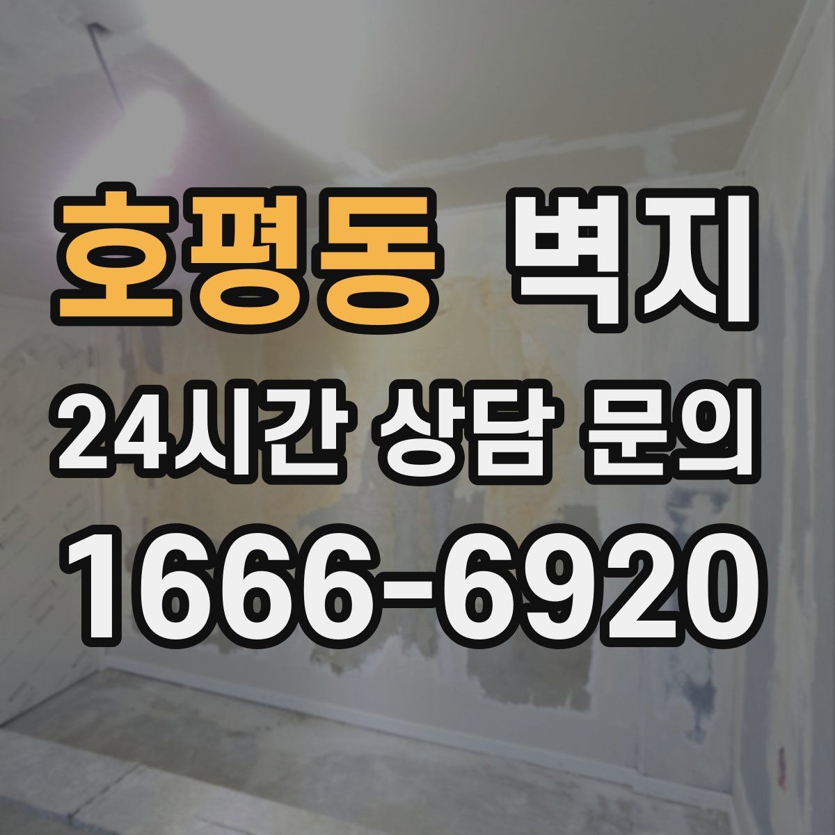 호평동 벽지
