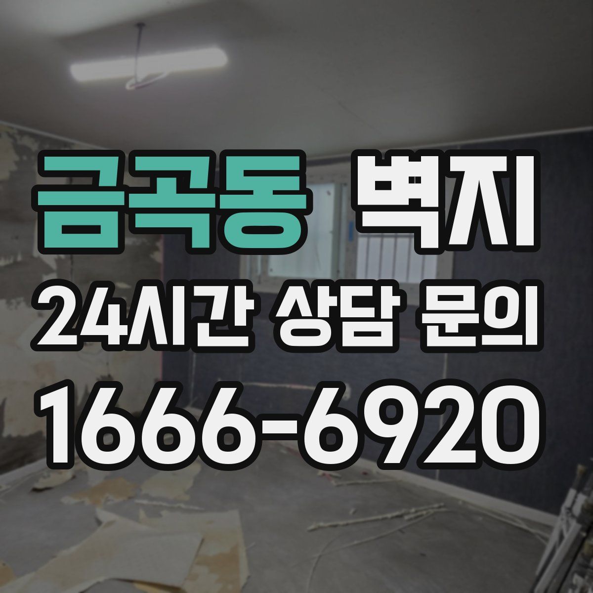 금곡동 벽지