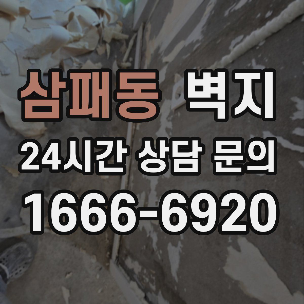 삼패동 벽지