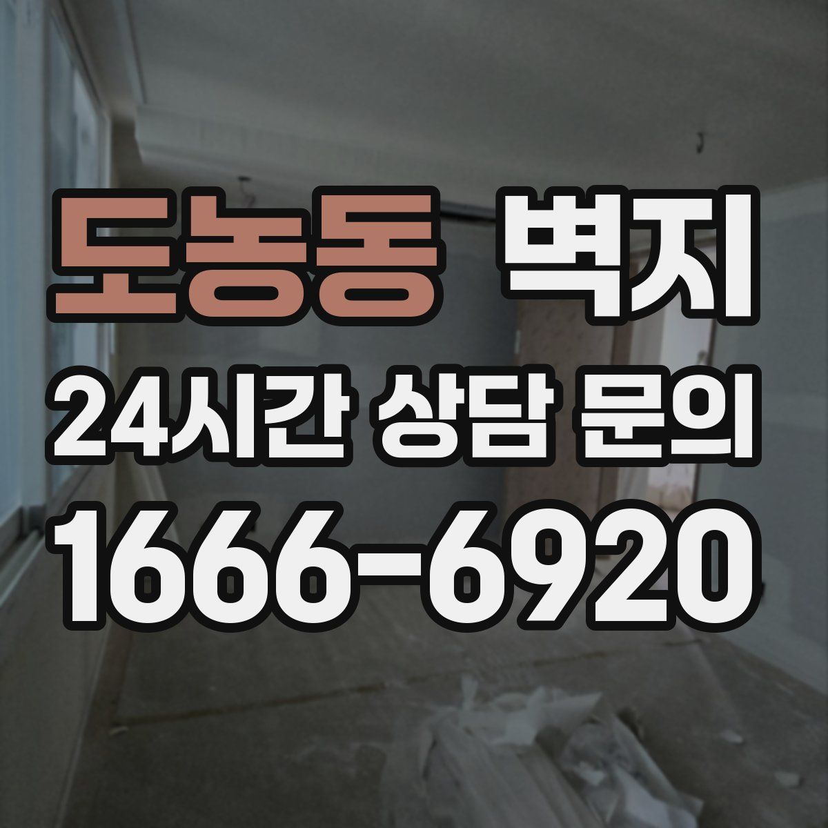 도농동 벽지