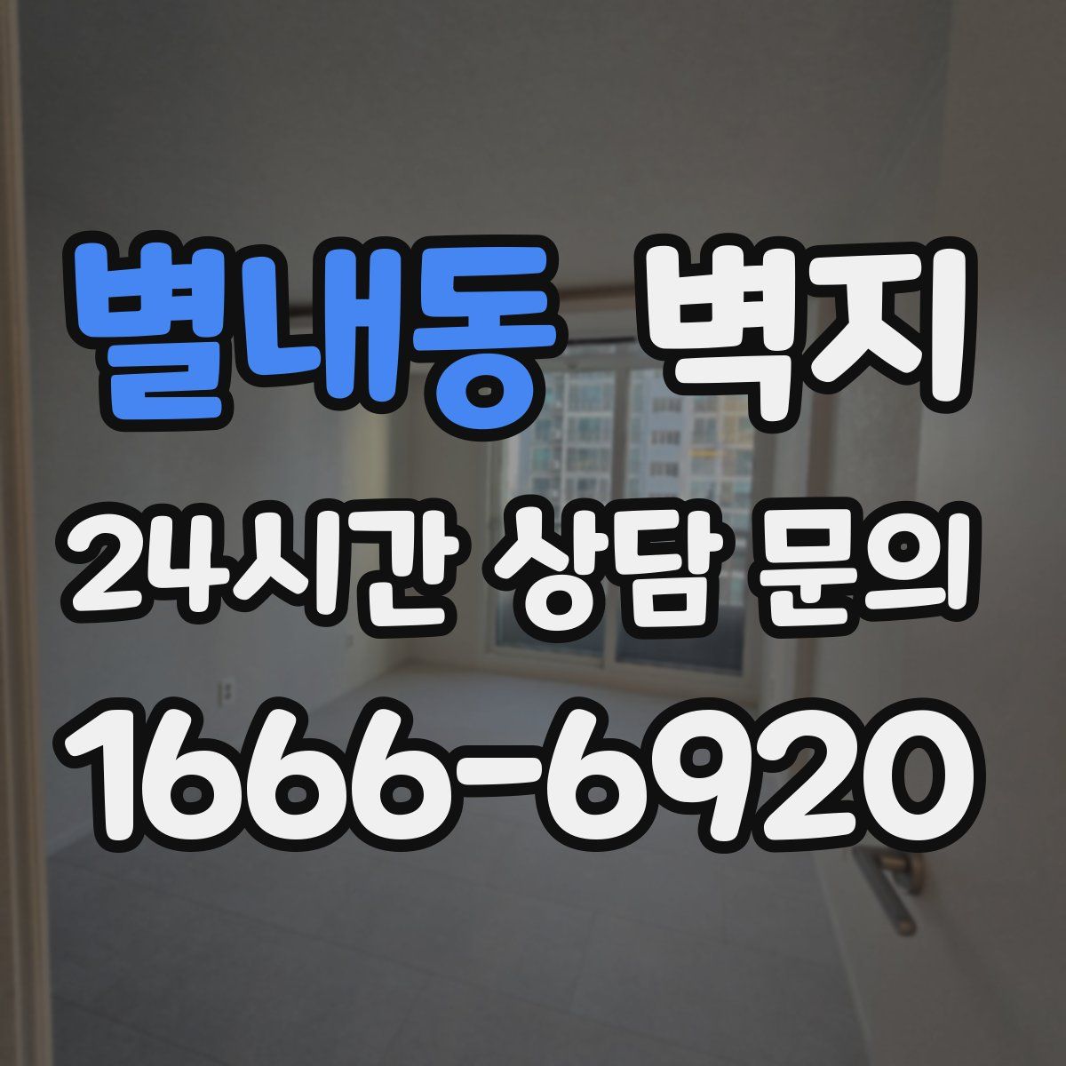 별내동 벽지