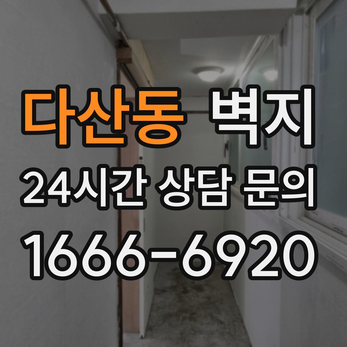 다산동 벽지