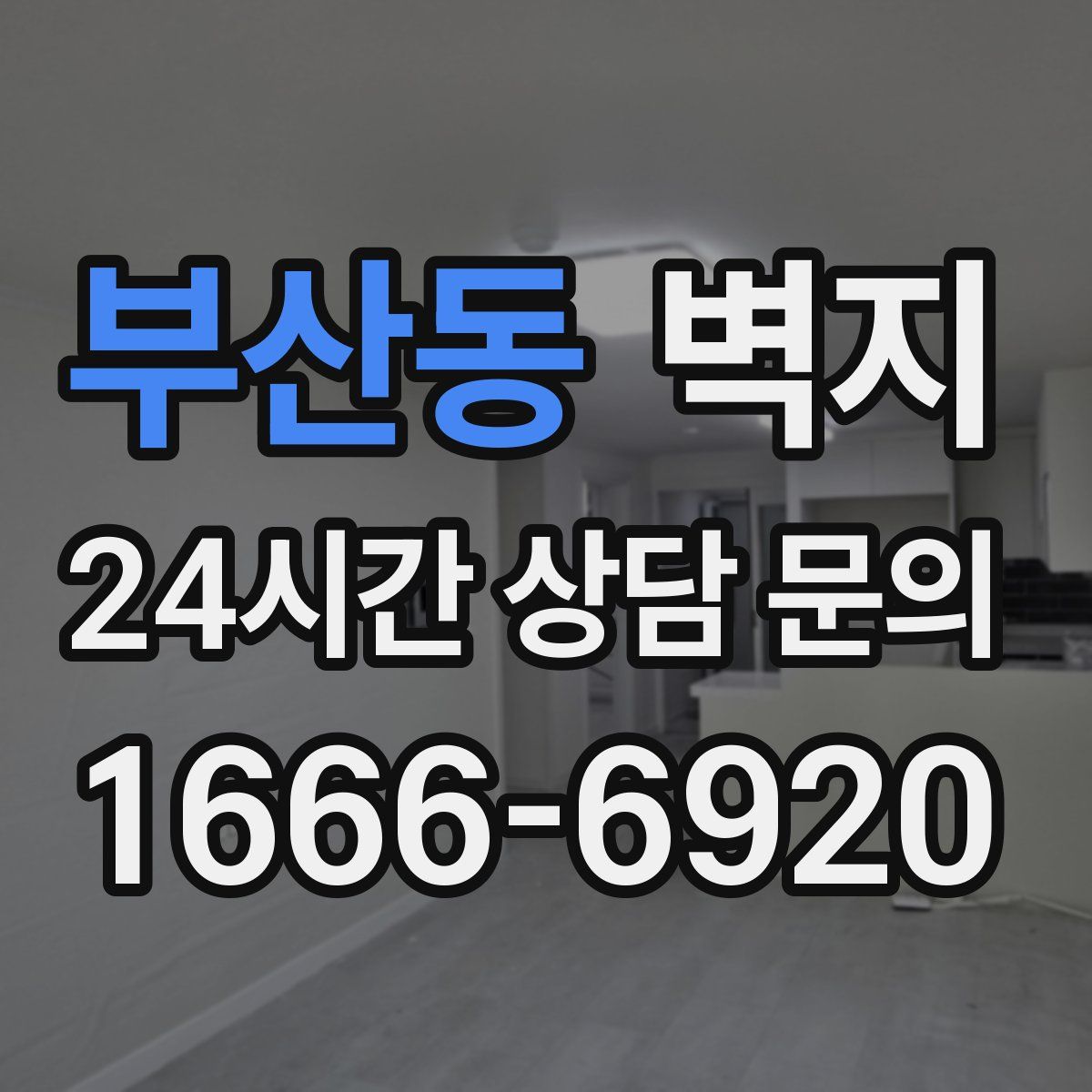 부산동 벽지