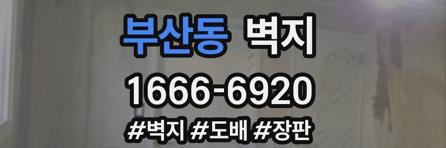부산동 벽지