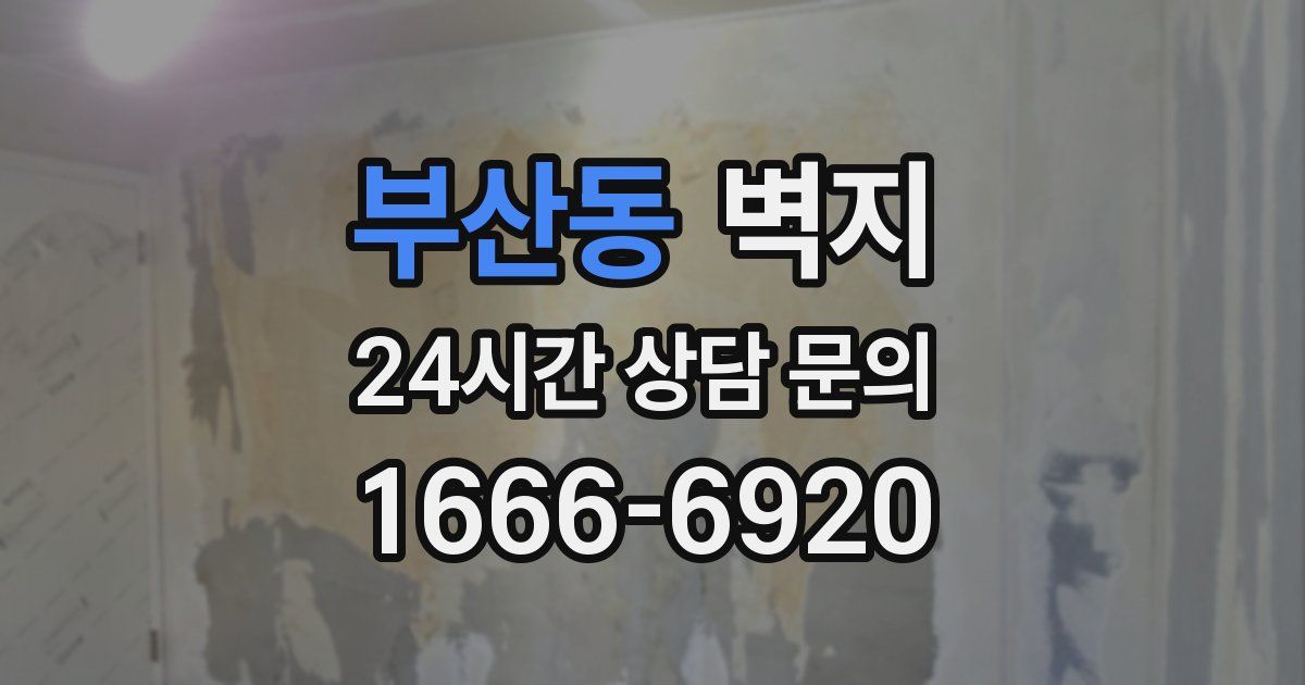 부산동 벽지