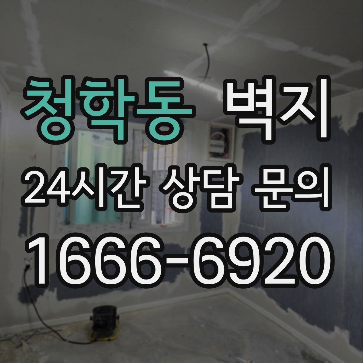 청학동 벽지