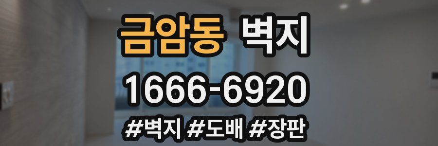 금암동 벽지
