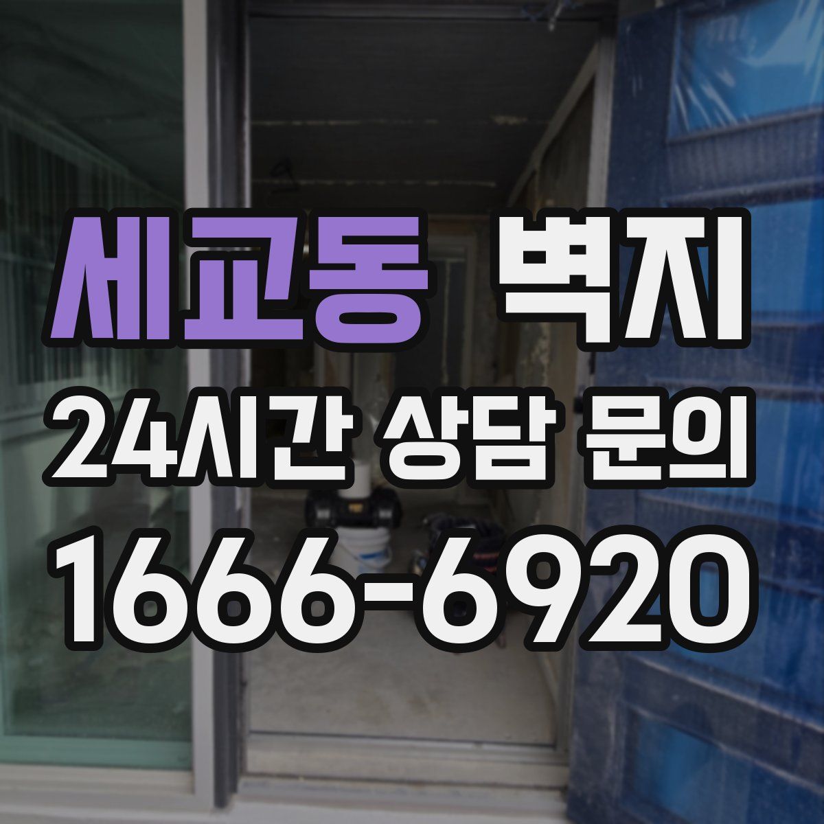 세교동 벽지