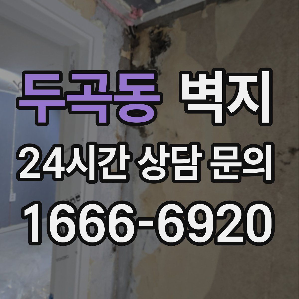 두곡동 벽지